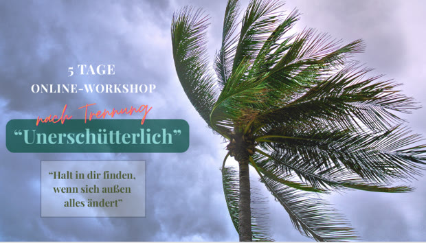 Marianne Ziegler - Traumalösung - Workshop Unerschütterlich